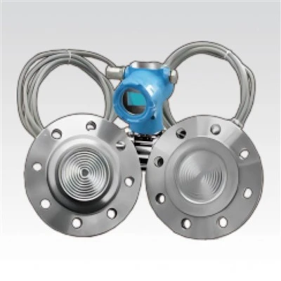 Diaphragm Seal Pressure Transmitter